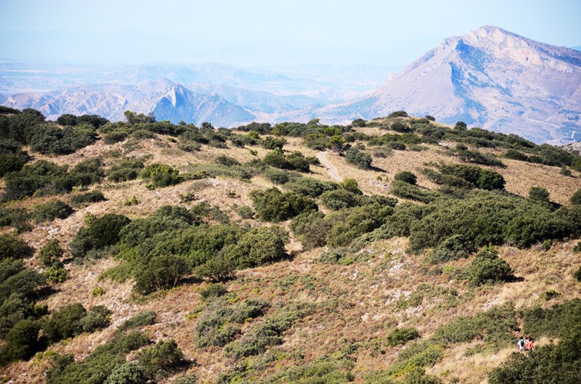 Des de la serra dels Plans: Alacant