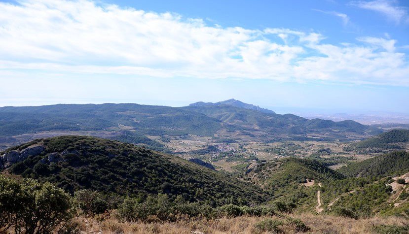 Des de la serra dels Plans: la Torre, menudeta