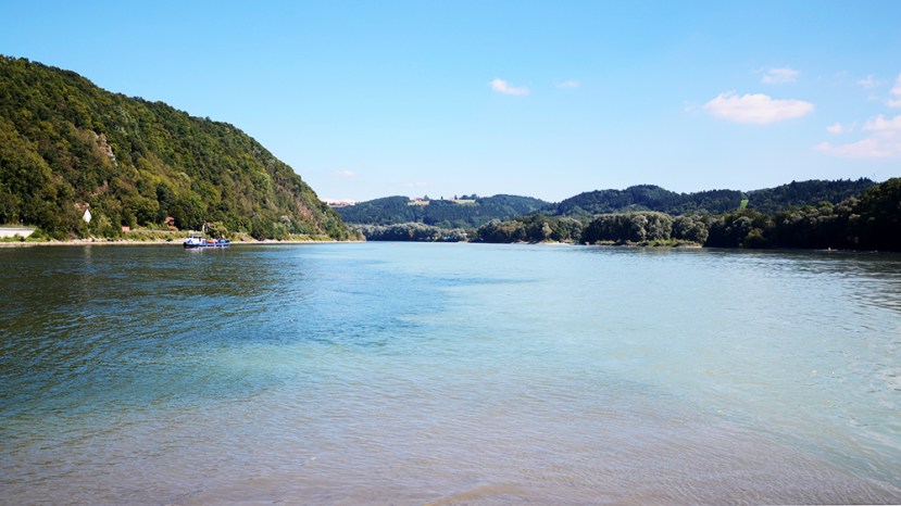 El 'Dreiflüssse-Eck' vist allà mateix, amb l'aigua del Danubi per l'esquerra i la de l'Inn per la dreta; l'Ilz no s'aprecia
