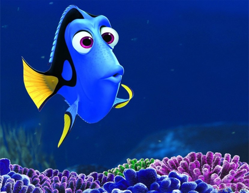 Dory, la de la memoria corta